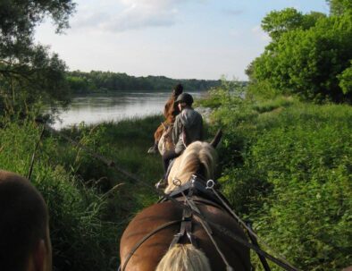 Balade à cheval à Chaumont sur Loire avec la ferme équestre des bords de Loire